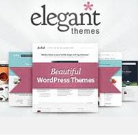 WordPress themes loved by over 200k