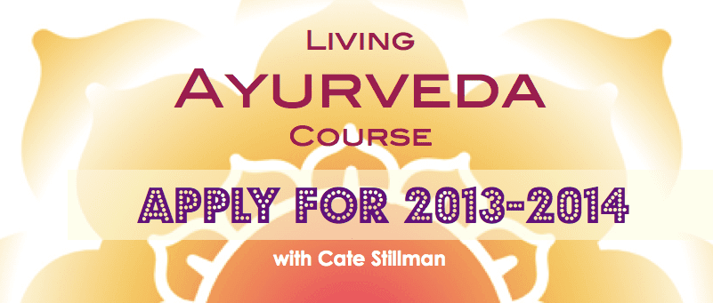 living ayurveda course 2013-2014