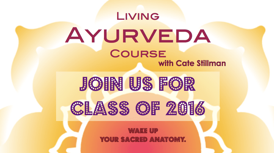 living ayurveda 2016 study ayurveda