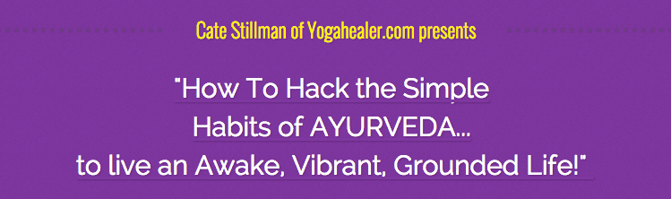 Hack the Habits of Ayurveda
